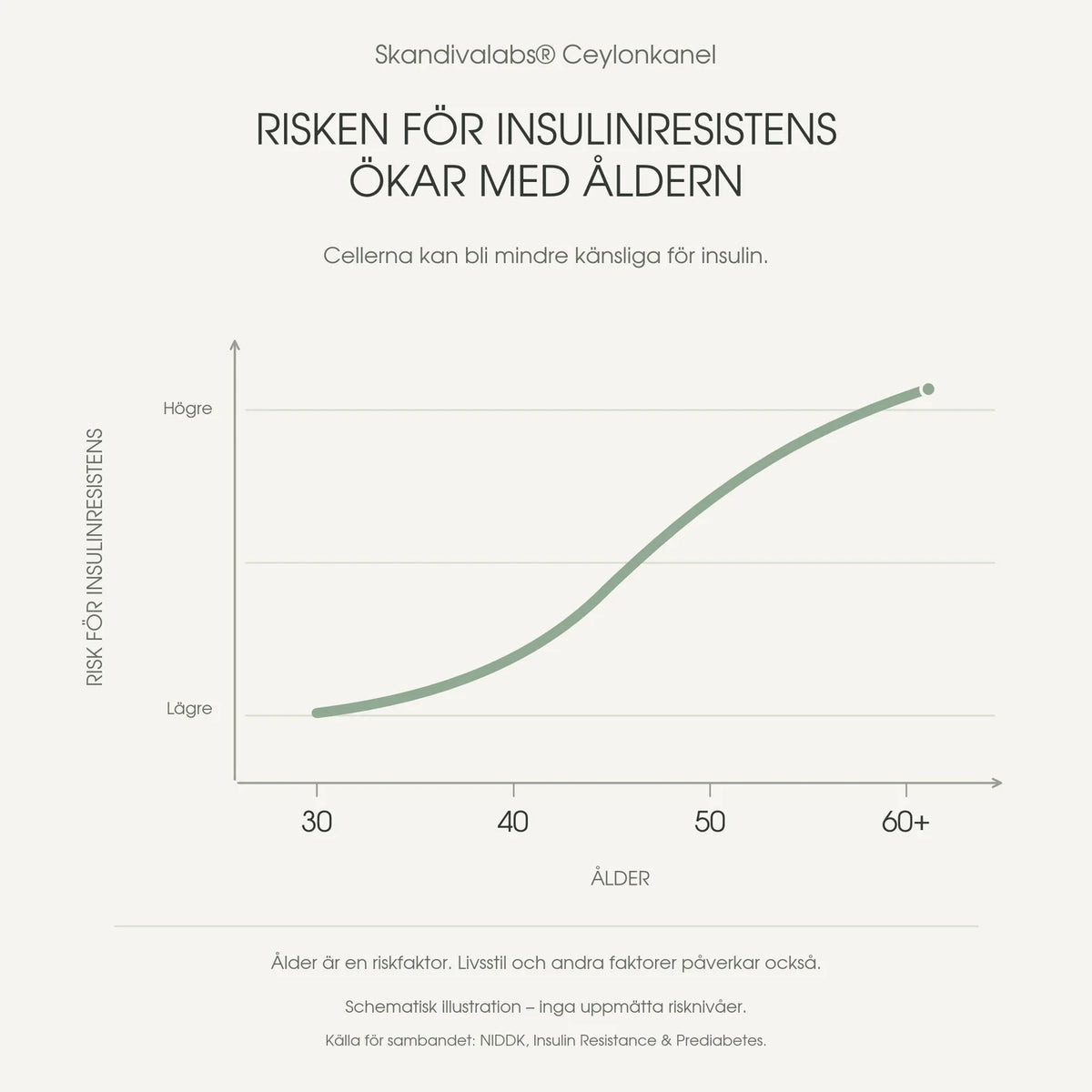 Därför dippar din energi – och suget tar över under dagen