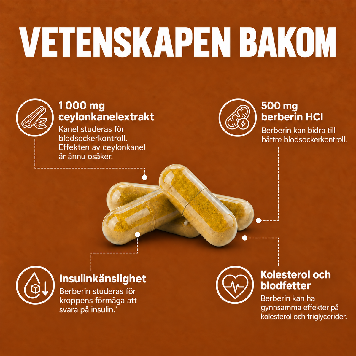 Scandivalabs® Ceylonkanel - Stödjer hälsosamt blodsocker & metabol balans